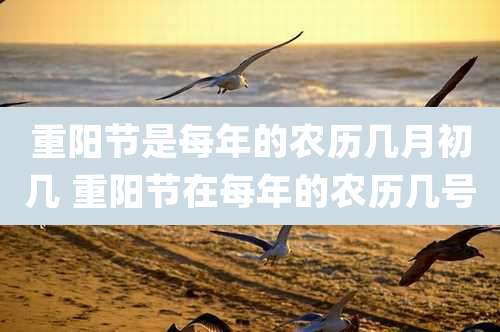 重阳节是每年的农历几月初几 重阳节在每年的农历几号