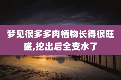 梦见很多多肉植物长得很旺盛,挖出后全变水了