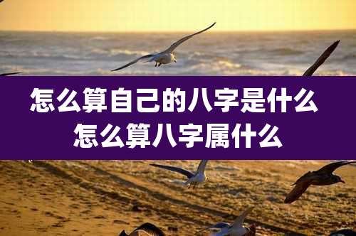 怎么算自己的八字是什么 怎么算八字属什么