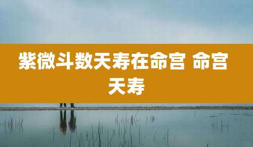 紫微斗数天寿在命宫 命宫 天寿