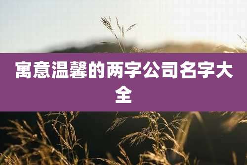 寓意温馨的两字公司名字大全