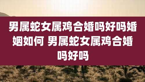 男属蛇女属鸡合婚吗好吗婚姻如何 男属蛇女属鸡合婚吗好吗