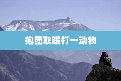 抱团取暖打一动物