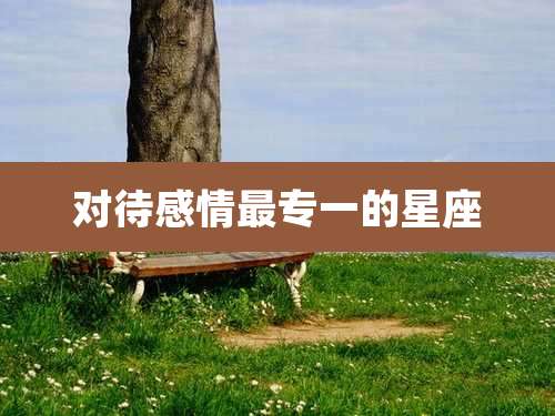 对待感情最专一的星座