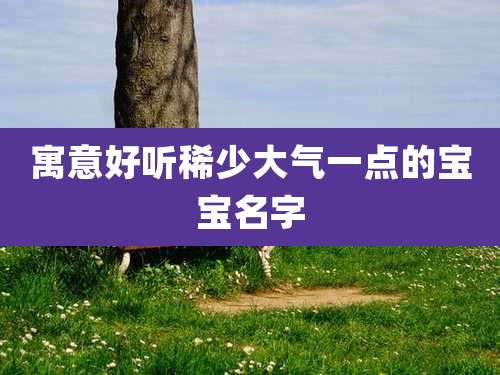 寓意好听稀少大气一点的宝宝名字