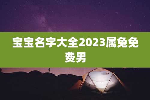 宝宝名字大全2023属兔免费男