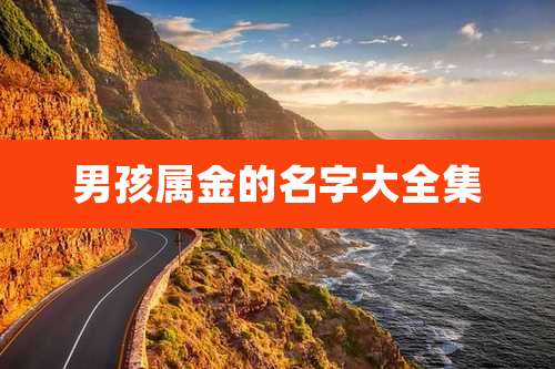 男孩属金的名字大全集