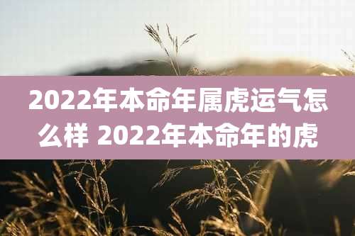 2022年本命年属虎运气怎么样 2022年本命年的虎