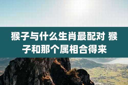 猴子与什么生肖最配对 猴子和那个属相合得来