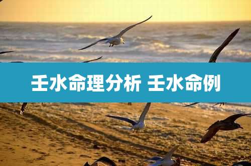 壬水命理分析 壬水命例