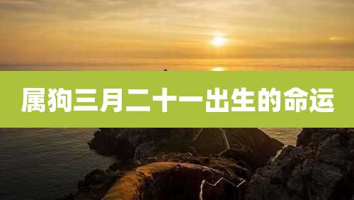 属狗三月二十一出生的命运
