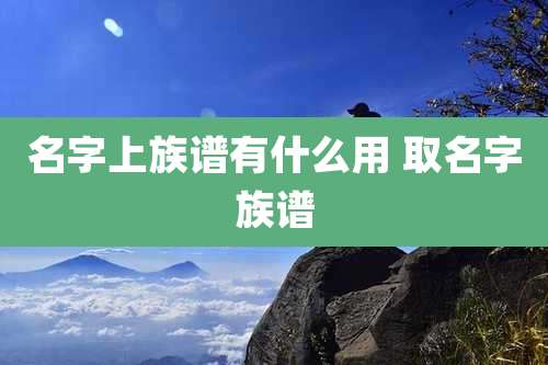 名字上族谱有什么用 取名字族谱