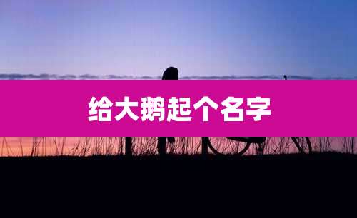 给大鹅起个名字