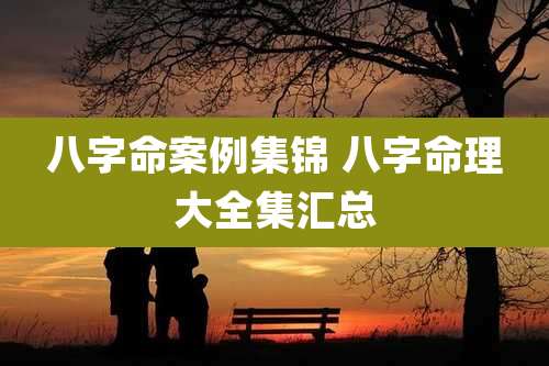 八字命案例集锦 八字命理大全集汇总