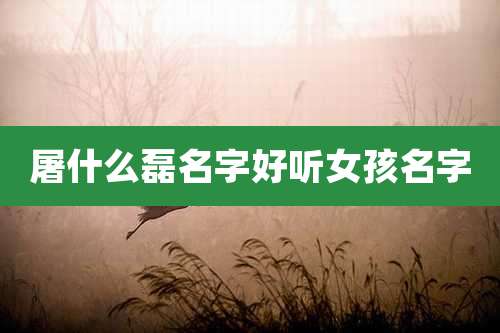 屠什么磊名字好听女孩名字