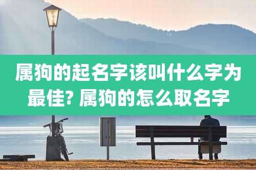属狗的起名字该叫什么字为最佳? 属狗的怎么取名字