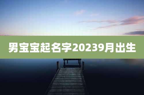 男宝宝起名字20239月出生