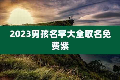 2023男孩名字大全取名免费紫