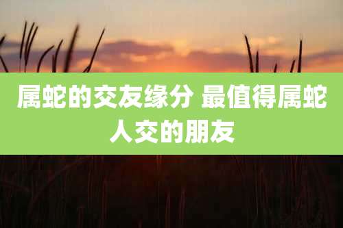 属蛇的交友缘分 最值得属蛇人交的朋友