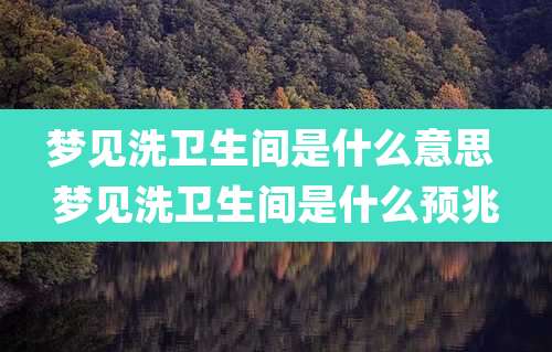 梦见洗卫生间是什么意思 梦见洗卫生间是什么预兆