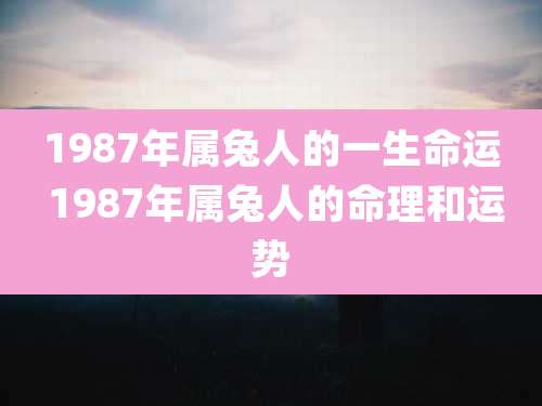 1987年属兔人的一生命运 1987年属兔人的命理和运势