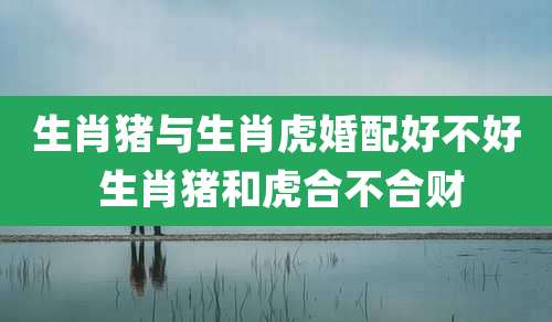 生肖猪与生肖虎婚配好不好 生肖猪和虎合不合财