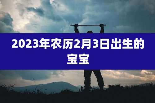 2023年农历2月3日出生的宝宝