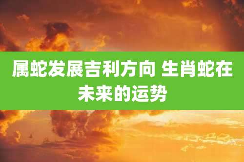 属蛇发展吉利方向 生肖蛇在未来的运势