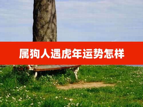 属狗人遇虎年运势怎样