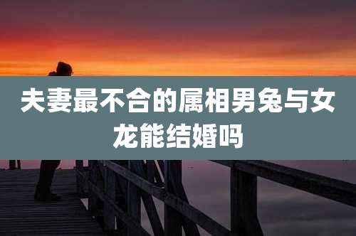 夫妻最不合的属相男兔与女龙能结婚吗