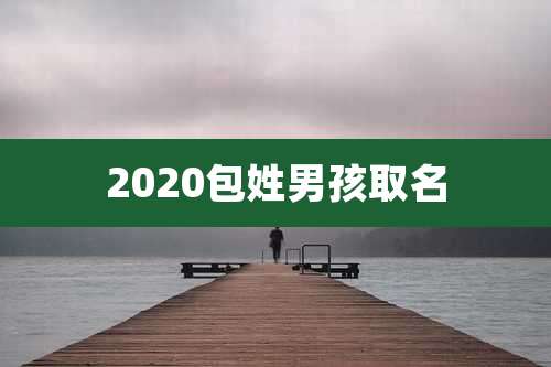 2020包姓男孩取名