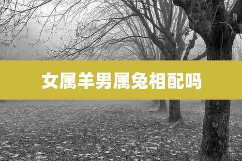 女属羊男属兔相配吗