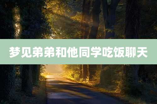 梦见弟弟和他同学吃饭聊天