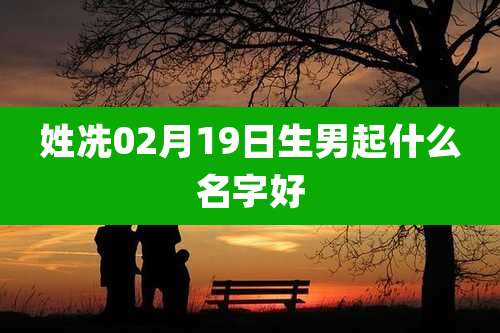 姓冼02月19日生男起什么名字好