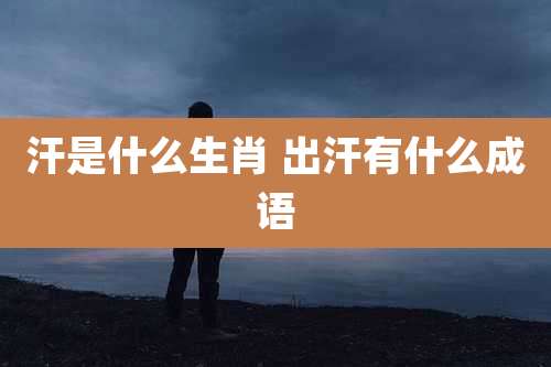 汗是什么生肖 出汗有什么成语