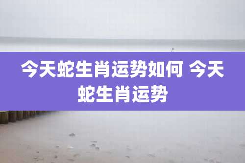 今天蛇生肖运势如何 今天蛇生肖运势