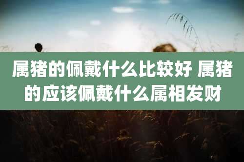 属猪的佩戴什么比较好 属猪的应该佩戴什么属相发财