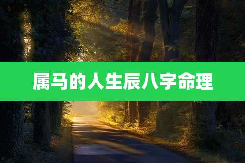 属马的人生辰八字命理