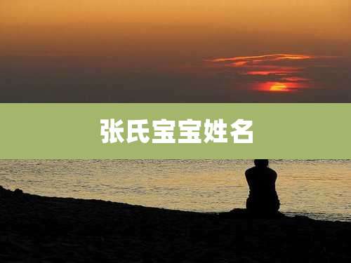 张氏宝宝姓名