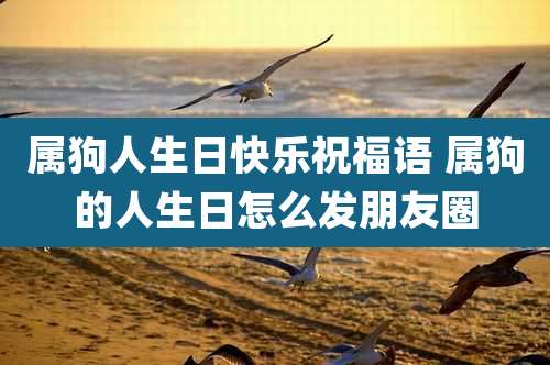 属狗人生日快乐祝福语 属狗的人生日怎么发朋友圈