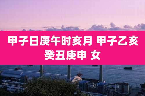 甲子日庚午时亥月 甲子乙亥癸丑庚申 女
