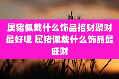 属猪佩戴什么饰品招财聚财最好呢 属猪佩戴什么饰品最旺财