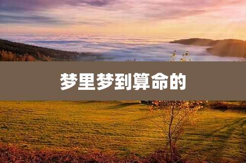 梦里梦到算命的