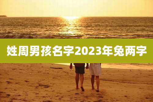 姓周男孩名字2023年兔两字