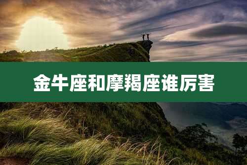 金牛座和摩羯座谁厉害