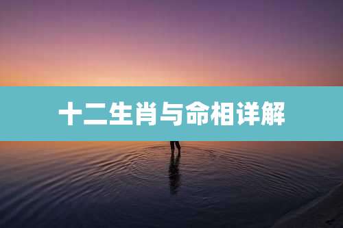 十二生肖与命相详解