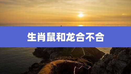 生肖鼠和龙合不合