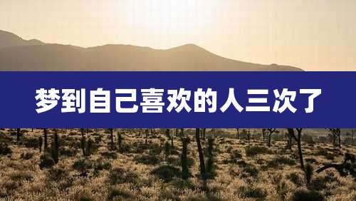 梦到自己喜欢的人三次了