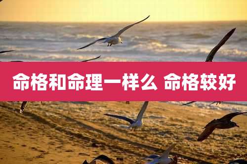 命格和命理一样么 命格较好