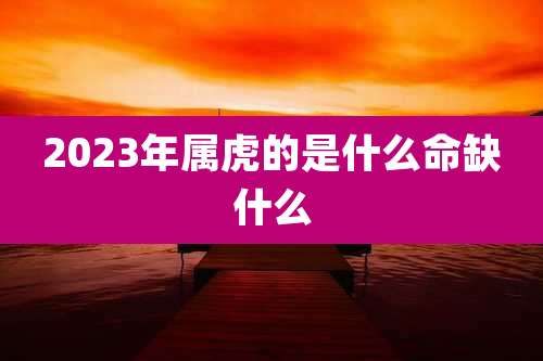 2023年属虎的是什么命缺什么